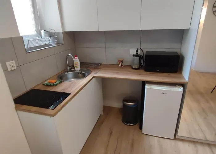 Apartment Rybaki 22 Poznan